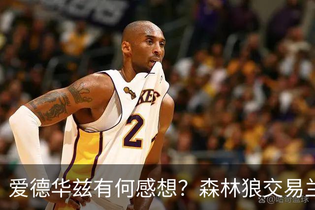 爱德华兹有何感想？森林狼交易兰德尔断臂求生 只为续约道苏姆？